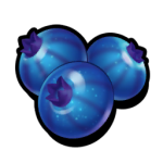 Blue Berries